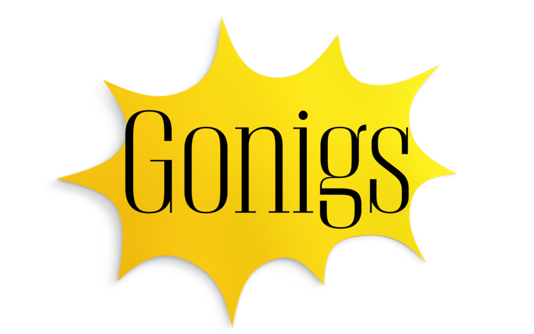 Gonigs Black Friday 2022