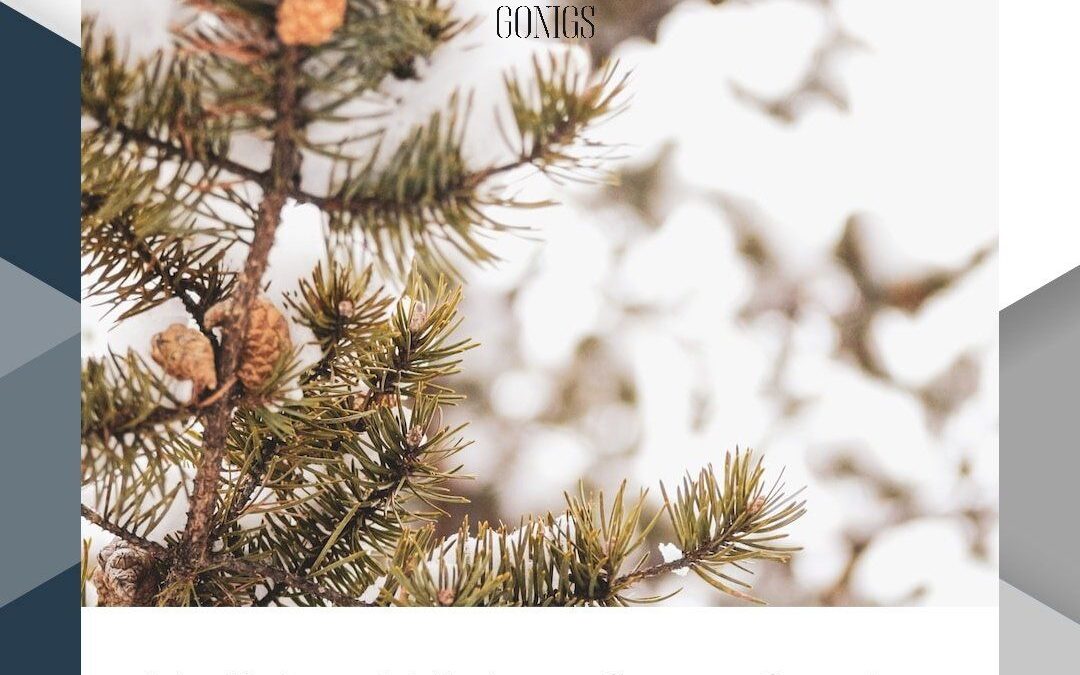 Gonigs Holidays Wishes 2022